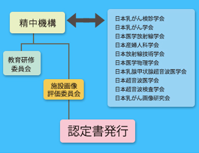 マンモグラフィ検診施設画像認定証を取得しました！